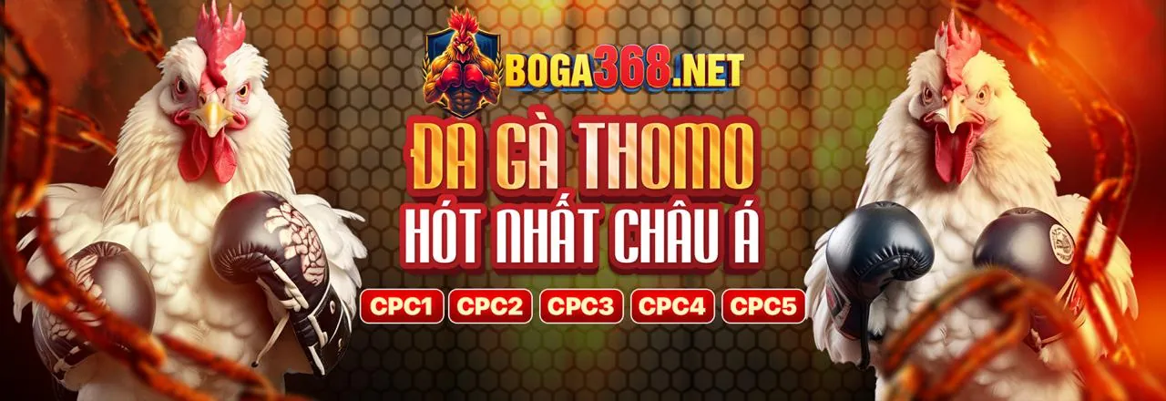 Chiến lược cá cược thể thao